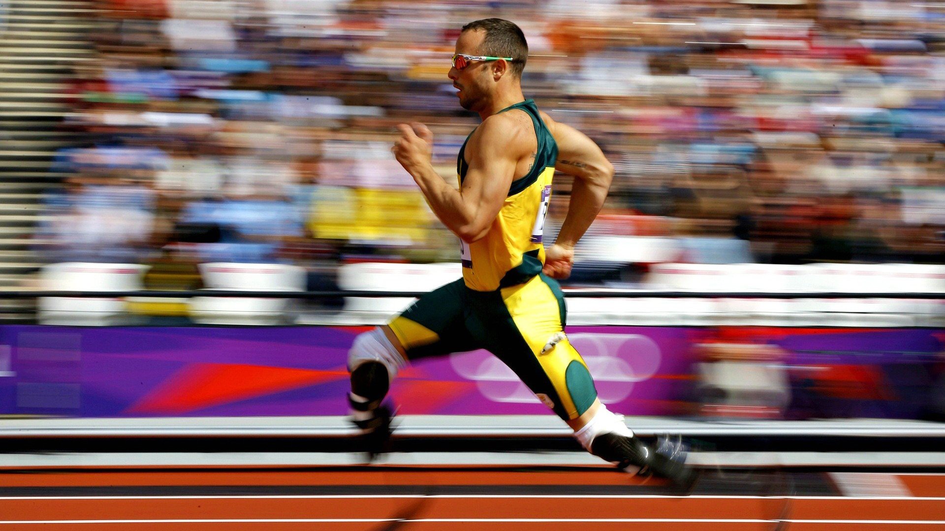 2026世界杯：场馆融合未来科技，观众体验空前提升，2026年世界杯球场