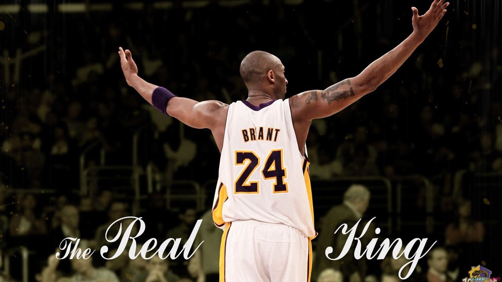 皮特·斯图斯帮助南非羚羊队捍卫防线，贡献无可替代，斯徒皮特